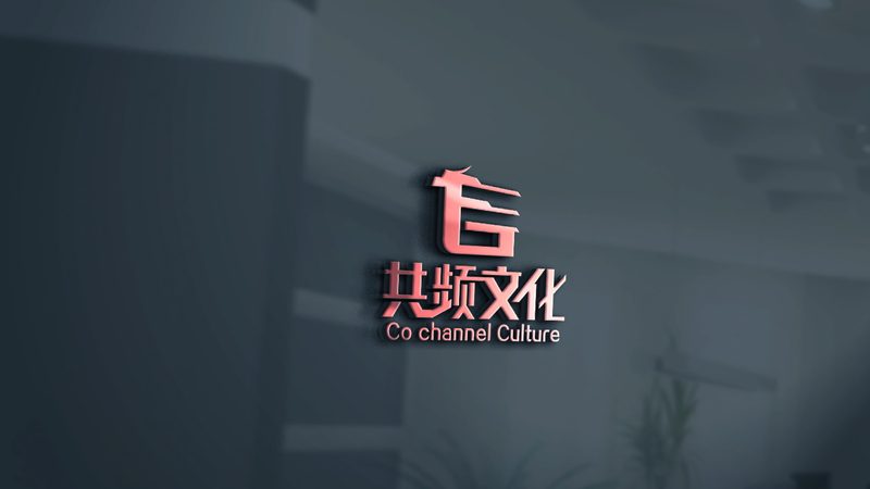 纪录片拍摄风格优缺点比较：揭秘纪录片制作的奥秘