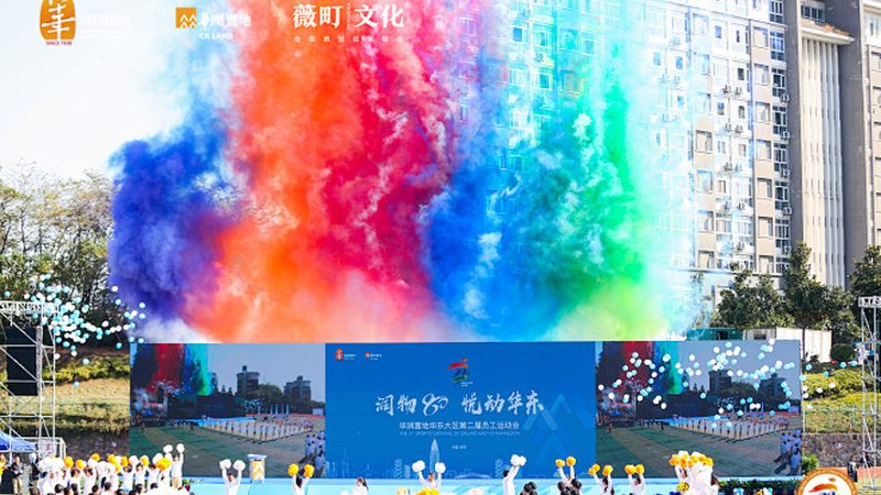 VI设计：揭秘收费标准和时间背后的逻辑